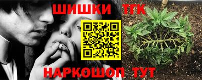 сатива Бузулук