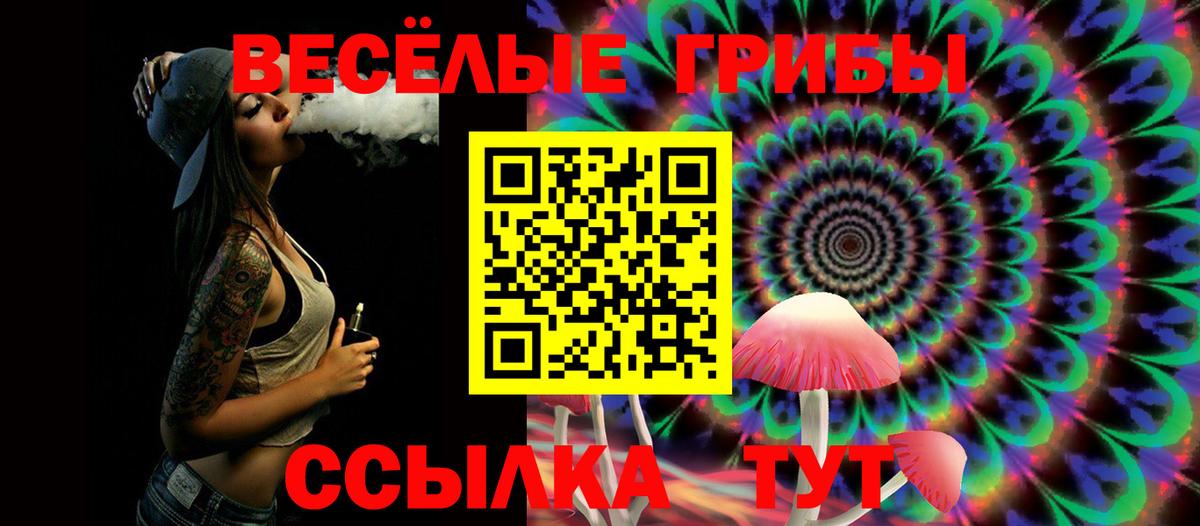 Галлюциногенные грибы Psilocybe Ревда